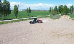 Battalgazi Belediyesi’nden yeşil alanda üretim hamlesi