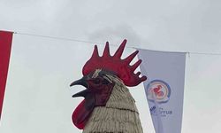 Denizli Horozu doludan nasibini aldı