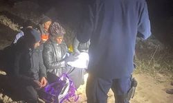 Dikili’de 7 düzensiz göçmen yakalandı