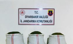 Diyarbakır İl Jandarma Komutanlığından ‘Terör örgütüne darbe’