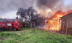 Edirne’de arı kovanlarının bulunduğu depo alev alev yandı