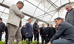 Erzincan heyeti Erbaa Kesme Çiçek Üretim Bölgesinde incelemede bulundu