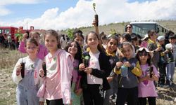 Erzincan’da  fidan dikme şenliği düzenlendi