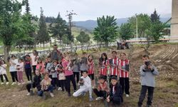 Minik eller okul bahçesine zeytin dikti