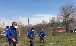 Muğla Büyükşehir’den vektörle mücadele