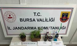Uyuşturucu partisine jandarma baskını: 8 gözaltı