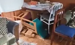 Aynı eve 2 yıl içinde 5. kez ayı girdi, ev savaş alanına döndü