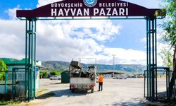 Büyükşehir Hayvan Pazarı için yer satışları başlıyor