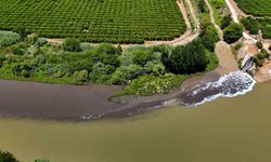 Ceyhan Nehri kirlilikten köpürdü
