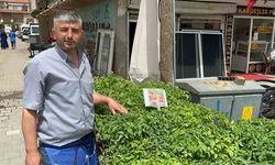 Fideleri bahçesine ekenler kendi yetiştirip kendi yiyor