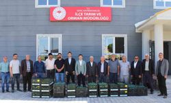 Genç’te üreticilere sebze fidesi dağıtıldı