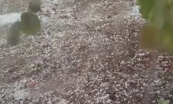 Sakarya’da dolu tarım arazilerini vurdu