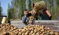 Tarım-GFE yıllık yüzde 29,73 arttı