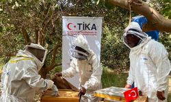 TİKA’dan Sudan’da arıcılığa destek