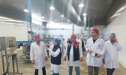 Yem üretim tesislerine detaylı denetim