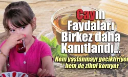 24 yıllık dev araştırmanın sonucu Çay faydalı!