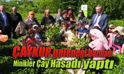 ÇAYKUR geleneği bozmadı Minikler Çay Hasadı yaptı