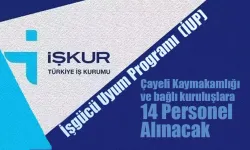 İUP Kapsamında Çayeli kaymakamlığı 14