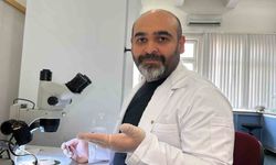 Asya uzun boynuzlu kenesi Türkiye faunasına girdi