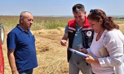 Hayrabolu’da biçerdöver denetimleri sürüyor