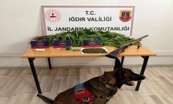 Iğdır’da jandarmadan uyuşturucu operasyonu: 1 kişi tutuklandı