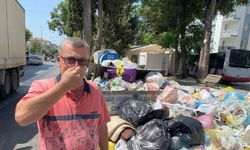 İzmir’in çöple dolu sokakları Hindistan’ı andırıyor