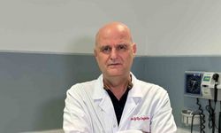 Kene tutundukça, hastalık riski artıyor: "Gerekirse kendiniz çıkarın"