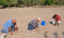 Kırkağaç Kavunu’nda tohumlar toprakla buluştu