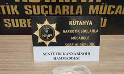 Kütahya’da uyuşturucu operasyonu, 1 kişi tutuklandı