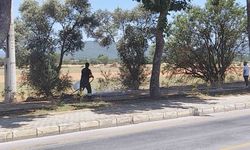 Menteşe’de yangın büyümeden söndürüldü