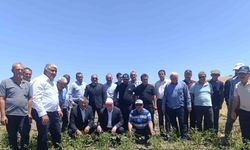 TZOB Başkanı, dolu sonrası zarar gören tarlaları inceledi