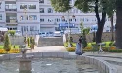 Yavru kargayı kurtarmak istedi, diğer karganın saldırısıyla hastanelik oldu