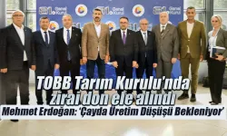 Mehmet Erdoğan 'Çayda Üretim Düşüşü Bekleniyor'