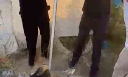 Batman’da kuyuya düşen yavru köpeği itfaiye kurtardı