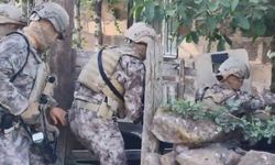 Bitlis merkezli suç örgütü operasyonunda 22 kişi gözaltına alındı
