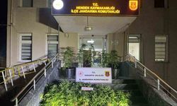 Jandarma uyuşturucuya geçit vermiyor: 1 tutuklama