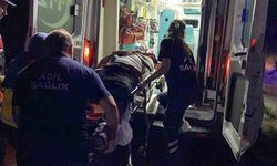 Kastamonu’da hafif ticari araç yamaca çarptı: 1 yaralı