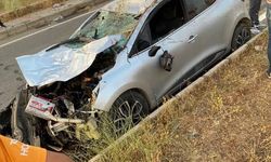 Muş’ta otomobil ineğe çarptı, 1 kişi yaralandı