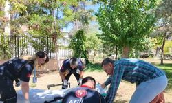 Şanlıurfa’da sağlıkta şiddete karşı ’Beyaz Kod’ tatbikatı