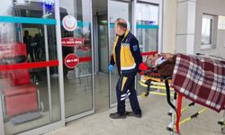 Tırpanla ot biçerken parmağını kopardı