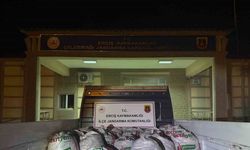 Van’da 3 aylık süreçte kaçak avlanan 78 ton inci kefaline el konuldu