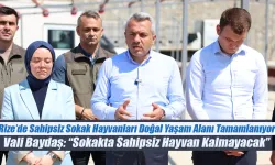 Vali Baydaş: “Sokakta Sahipsiz Hayvan Kalmayacak”