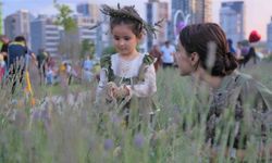 Başkentliler Keçiören’deki lavanta festivaline akın etti