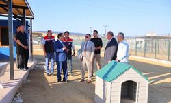 Bayburt’ta Hayvan Bakım Evi ve Doğal Yaşam Alanı ile hayvan barınağında incelemeler yapıldı