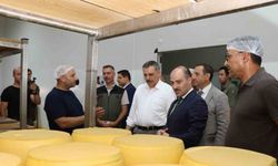 Erzurum’da kaşar üretimi yaygınlaşıyor