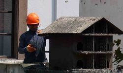 Menteşe’de güvercin yuvalarında temizlik yapıldı