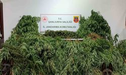 Şanlıurfa’da 11 kilo 200 gram esrar ele geçirildi