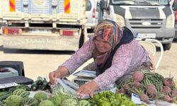 Sincan Belediyesi üretici köylü pazarları hizmette