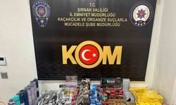 Şırnak’ta asayiş, kaçakçılık ve narkotik operasyonu
