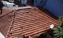 Edirne’de mahallede fare paniği
